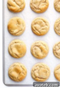 Soft and Chewy Chocolate Chipless Cookies