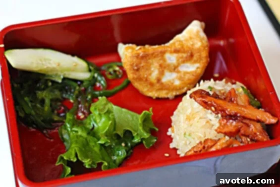 Vegetarian bento box lunch at Soy and Sake Vegetarian bento box with gyoza, fried rice, and seaweed salad