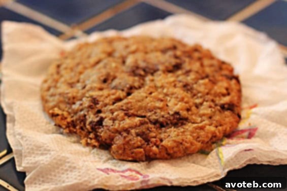 Freshly baked chocolate chip cookie Huge warm chocolate chip cookie from Milk and Cookies Bakery