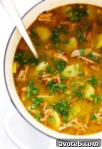 A bowl of delicious 5-Ingredient Carnitas Soup, garnished with fresh cilantro and avocado slices.