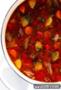 A bowl of Mexican Vegetable Beef Soup, garnished with cilantro and avocado.