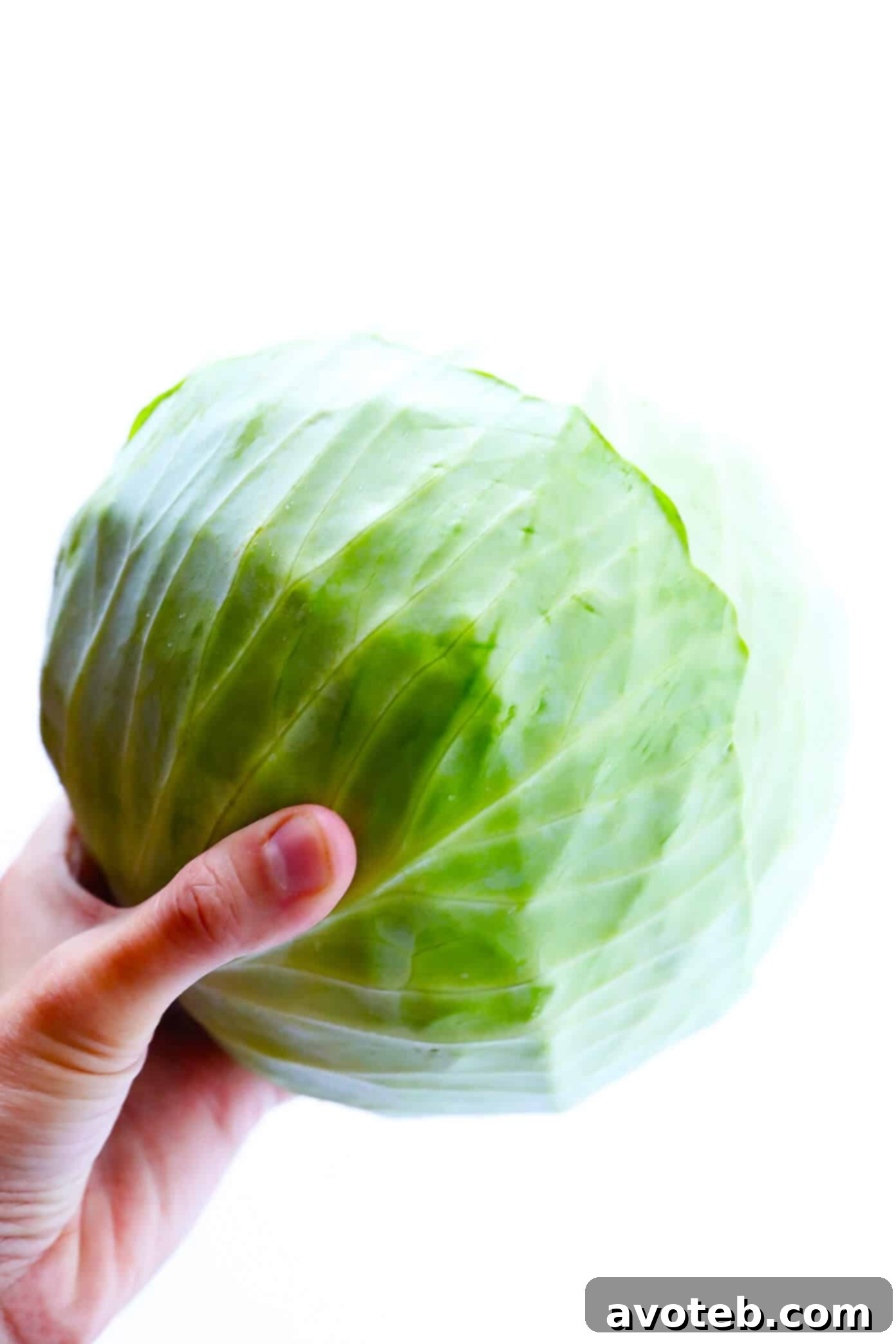 Green Cabbage for Spicy Vegetarian Cabbage Soup