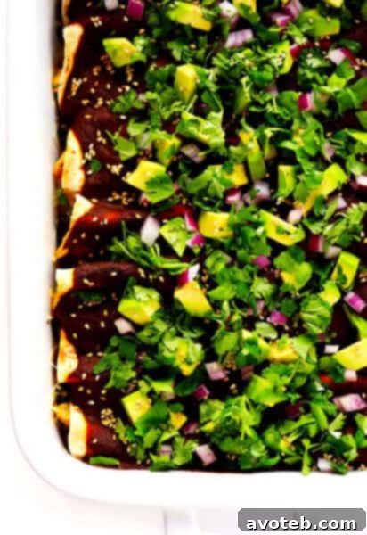 Holy Mole Enchilada | Made with chicken, pork, or your choice of vegetarian fillings
