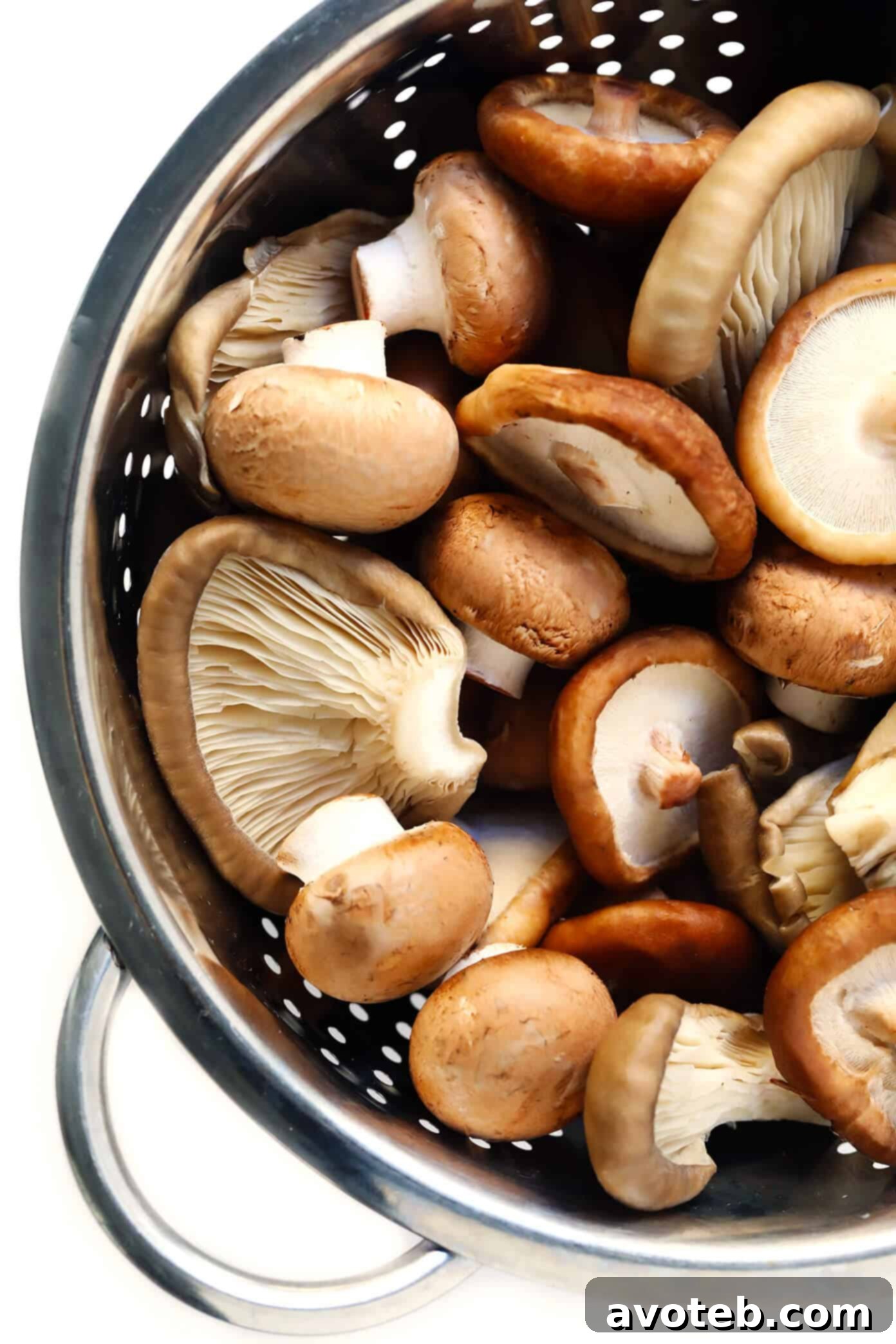Assorted Mushrooms for Pasta: Baby Bella, Shiitake, and Oyster