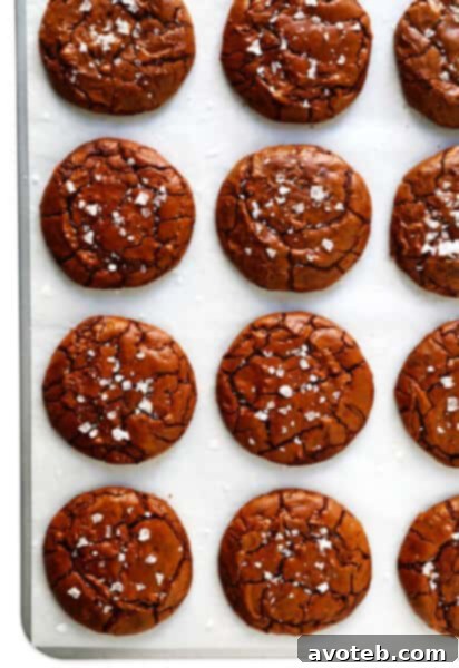 Salted Chocolate Brownie Cookies