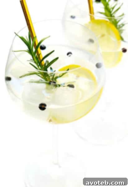 Spanish Gin Tonic in a balloon glass with citrus and rosemary garnish