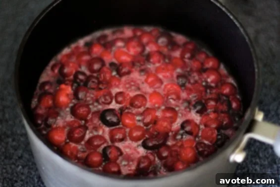 Delicious Cranberry-Pomegranate Sauce Ready to Serve A serving of Cranberry-Pomegranate Sauce in a bowl, showing its rich texture and color, inviting diners to enjoy.