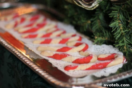 An array of exquisite homemade cookies, showcasing various textures and decorations, ready for the Kansas City cookie exchange.