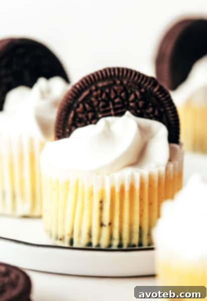 Mini Oreo Cheesecakes
