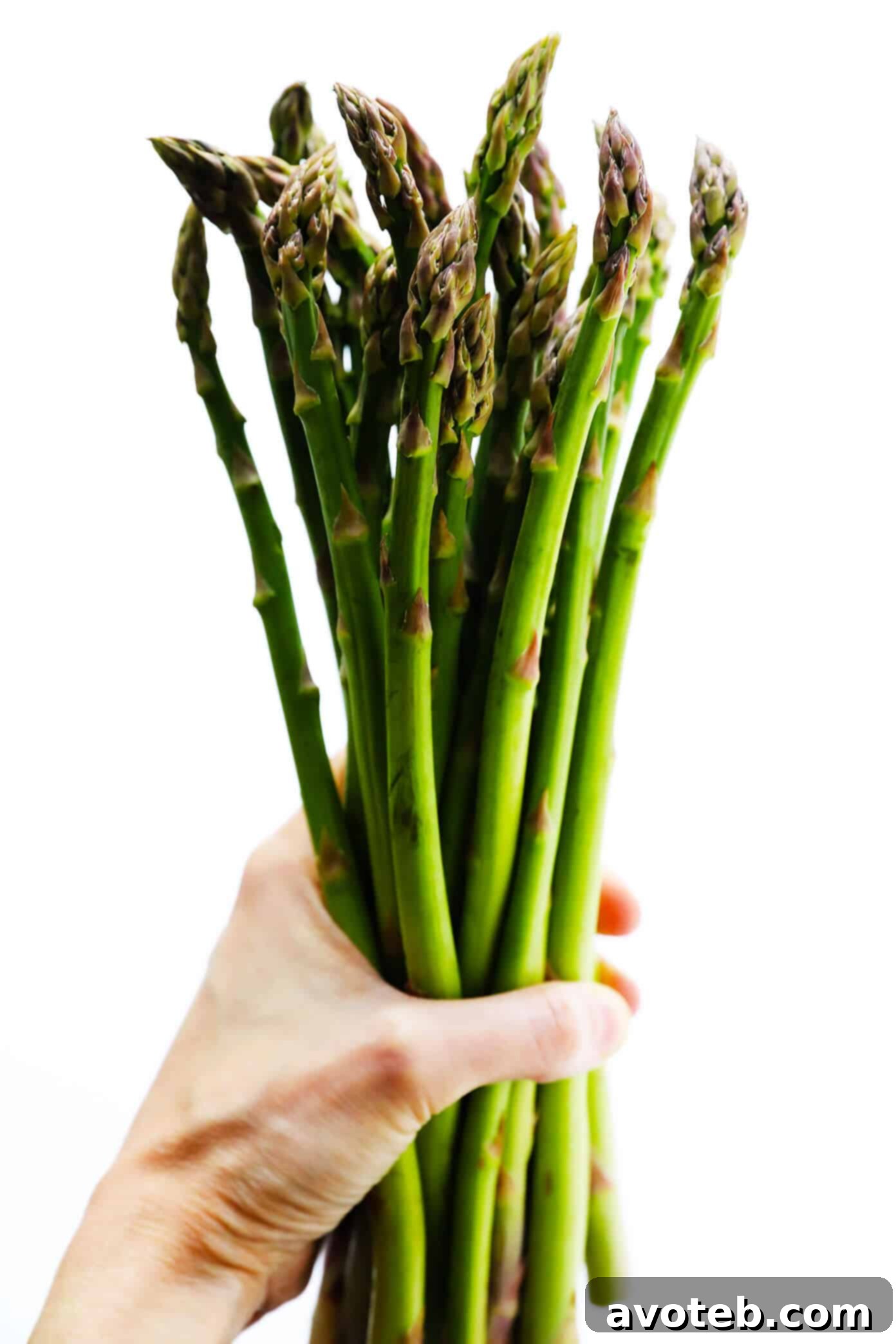 Fresh Asparagus Spears for Roasting