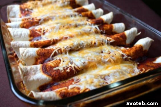 Festive Cinco de Mayo Dishes 3 Best Chicken Enchiladas EVER! - A classic Mexican main dish with tender chicken and savory sauce, perfect for a festive meal.