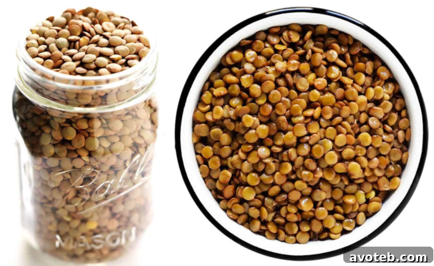 How To Cook Brown Green Lentils (Raw and Cooked)