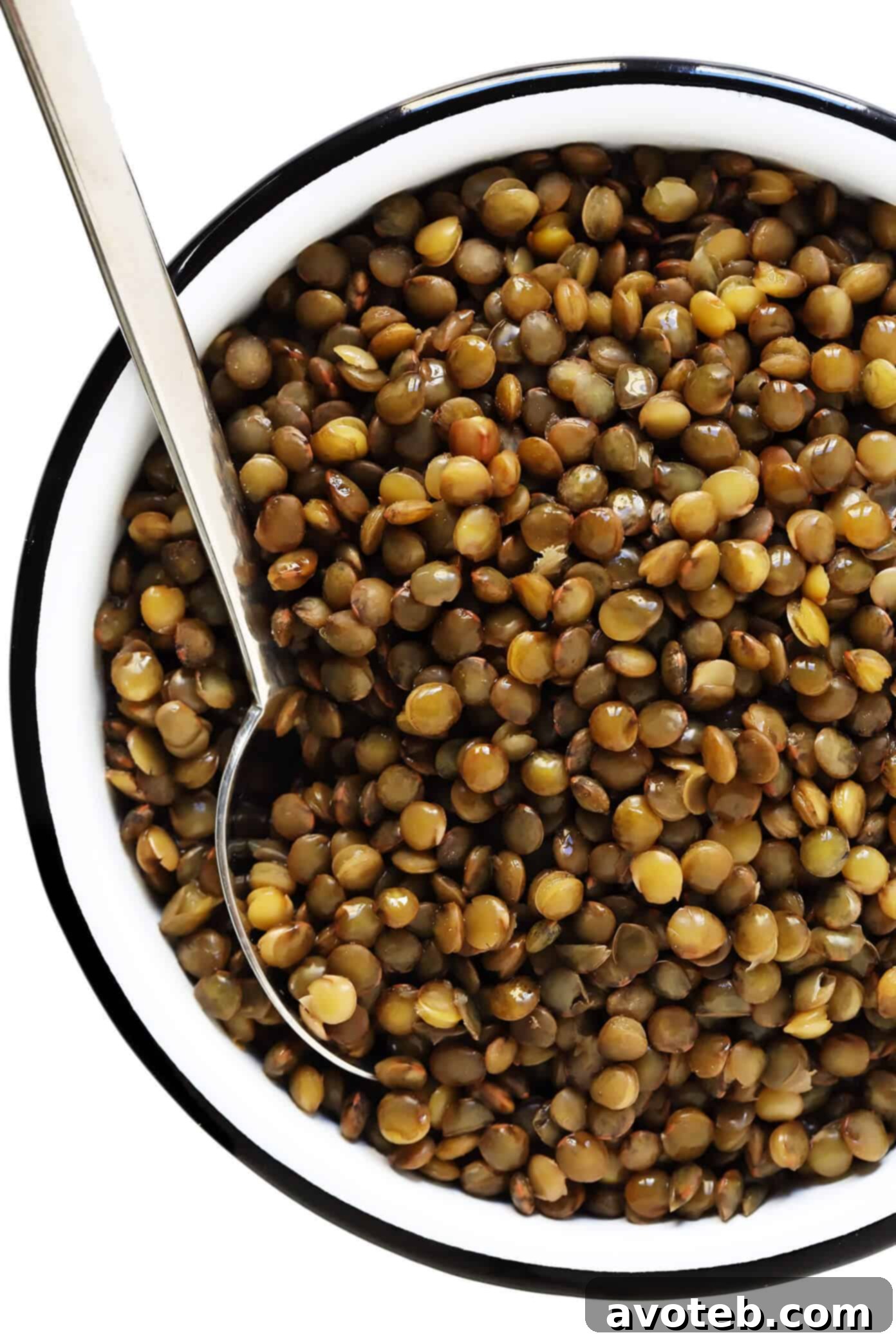 Lentils de Puy (Recipes and Tips)