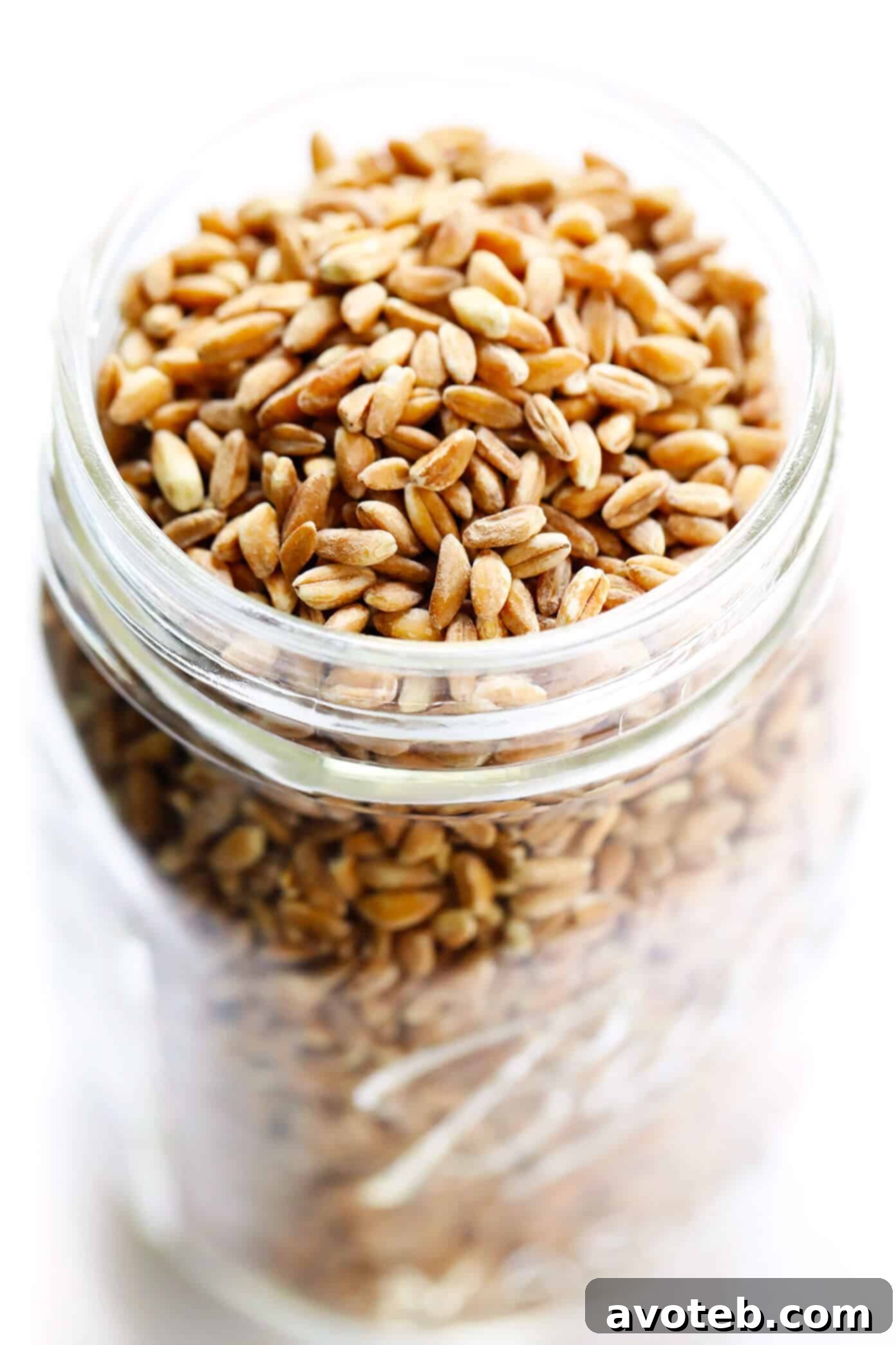 Different Types of Farro - Pearled and Semi-Pearled