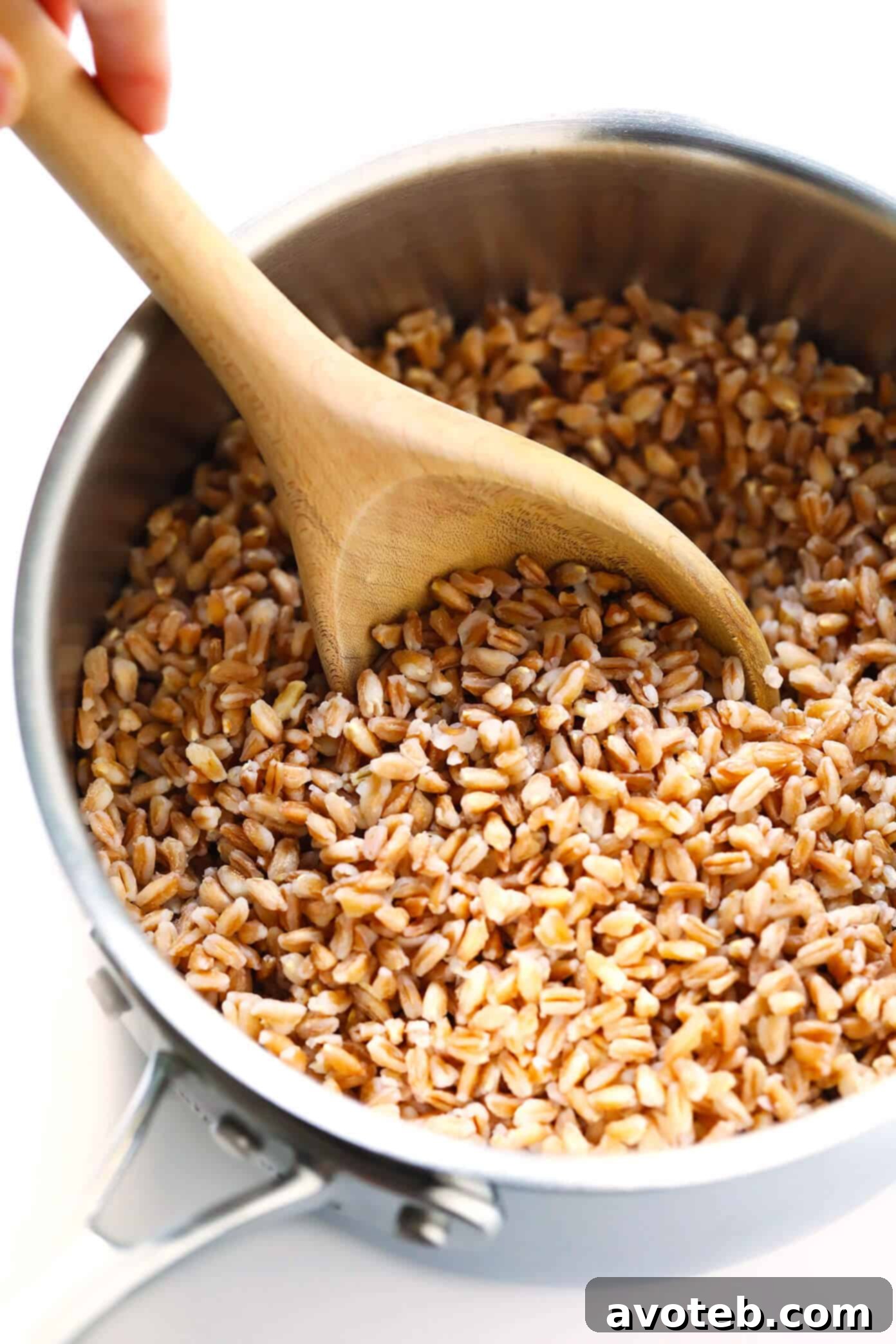 Uncooked and Cooked Farro with Basic Ingredients
