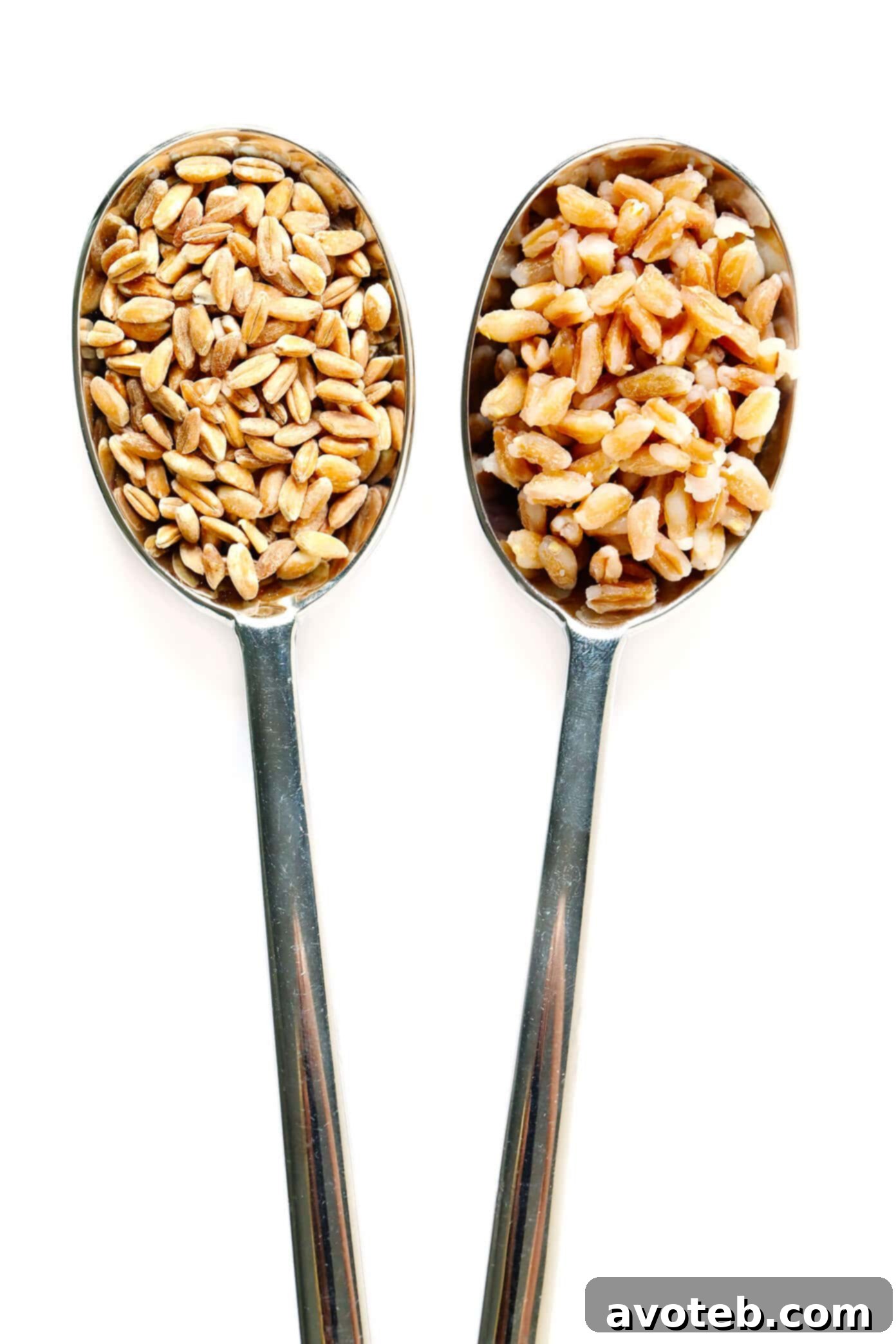 Comparison of uncooked and cooked pearled farro
