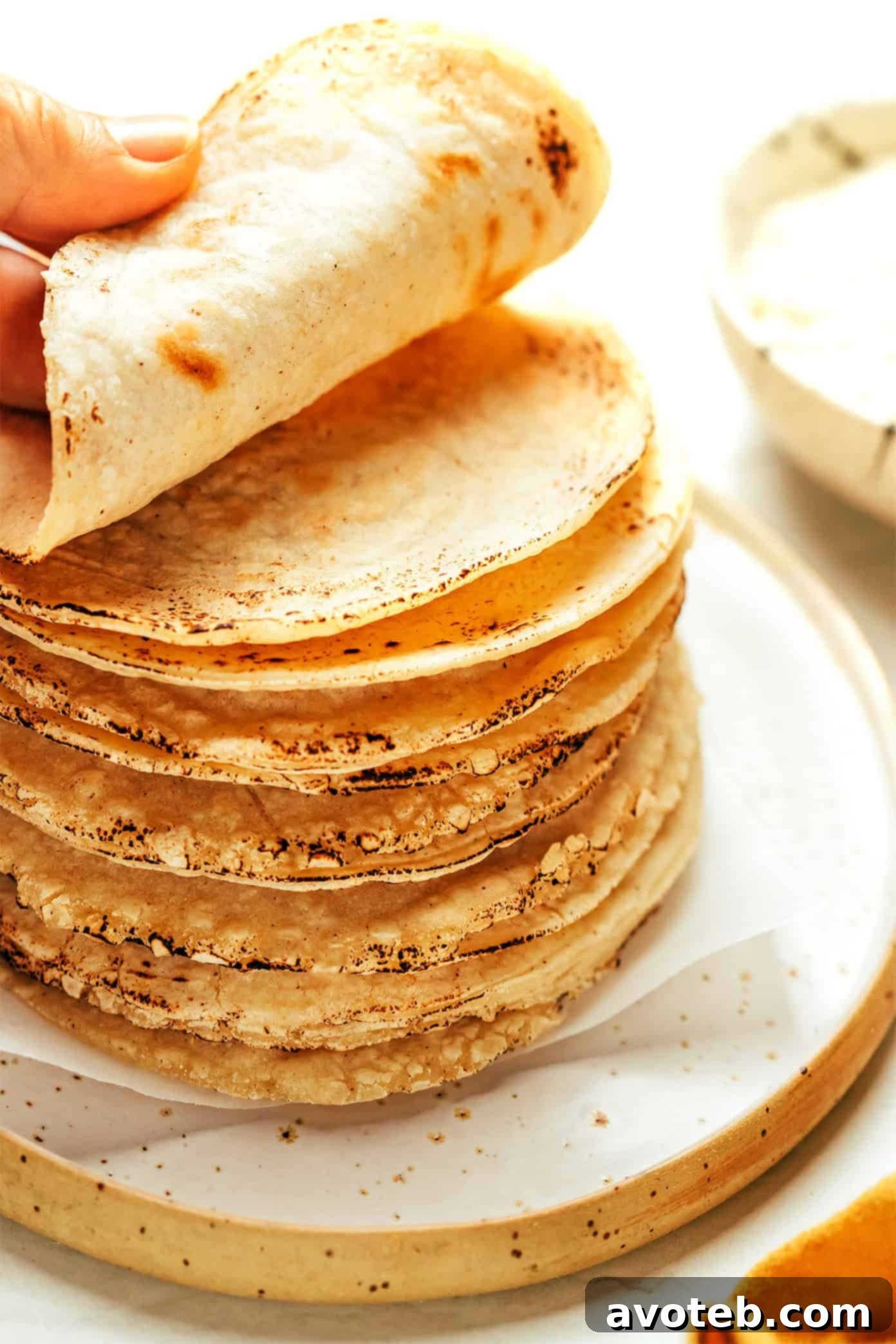 Freshly pressed corn tortilla dough on a tortilla press