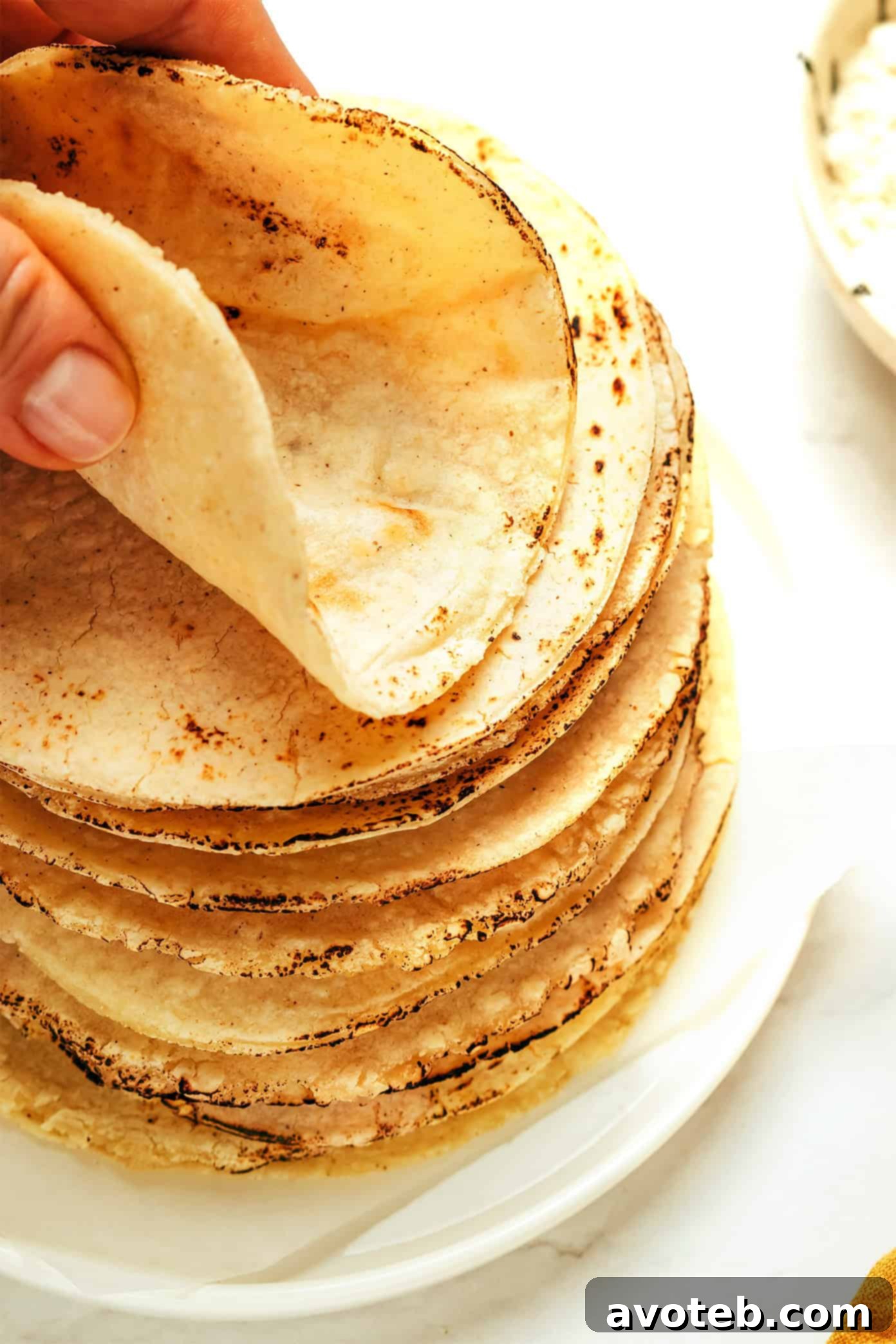 Close-up of a stack of corn tortillas