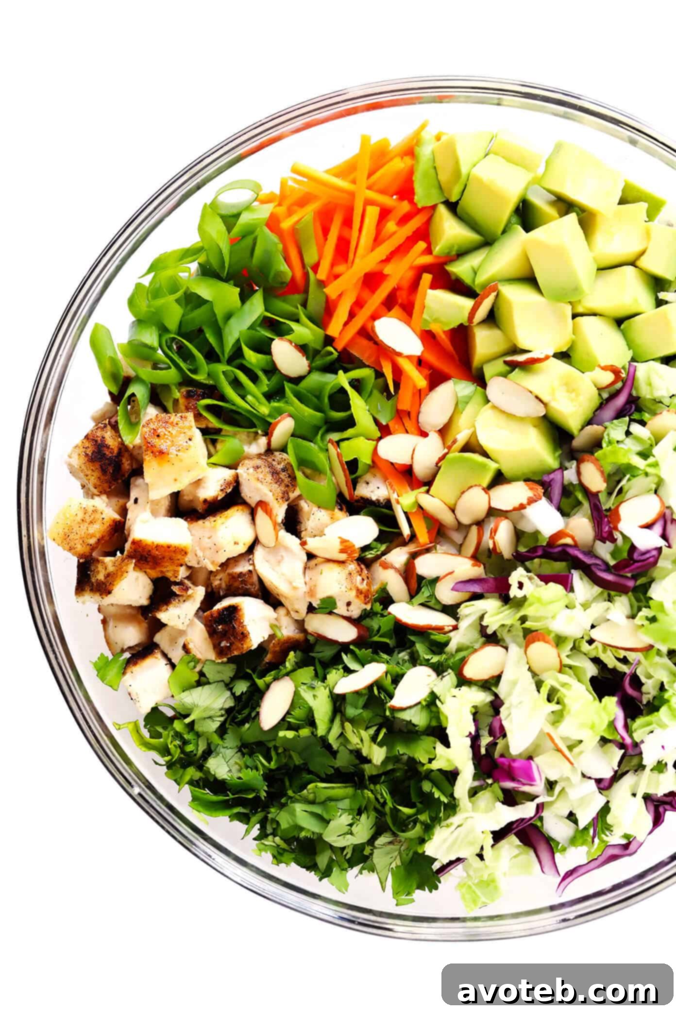 Sesame Chicken Salad Ingredients - Baked Chicken, Green Onions, Carrots, Cilantro, Cole Slaw, Avocado and Toasted Almonds