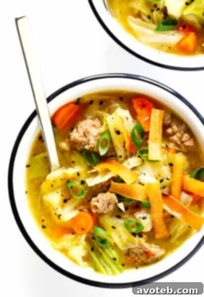 Egg Roll Soup