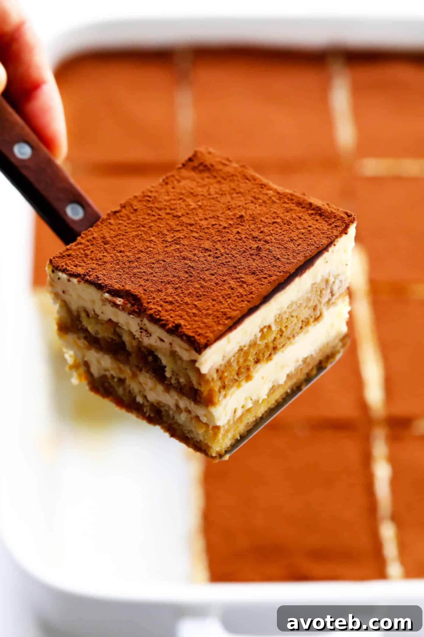 A perfect slice of tiramisu presented on a white plate, showcasing its distinct layers of ladyfingers, cream, and cocoa powder