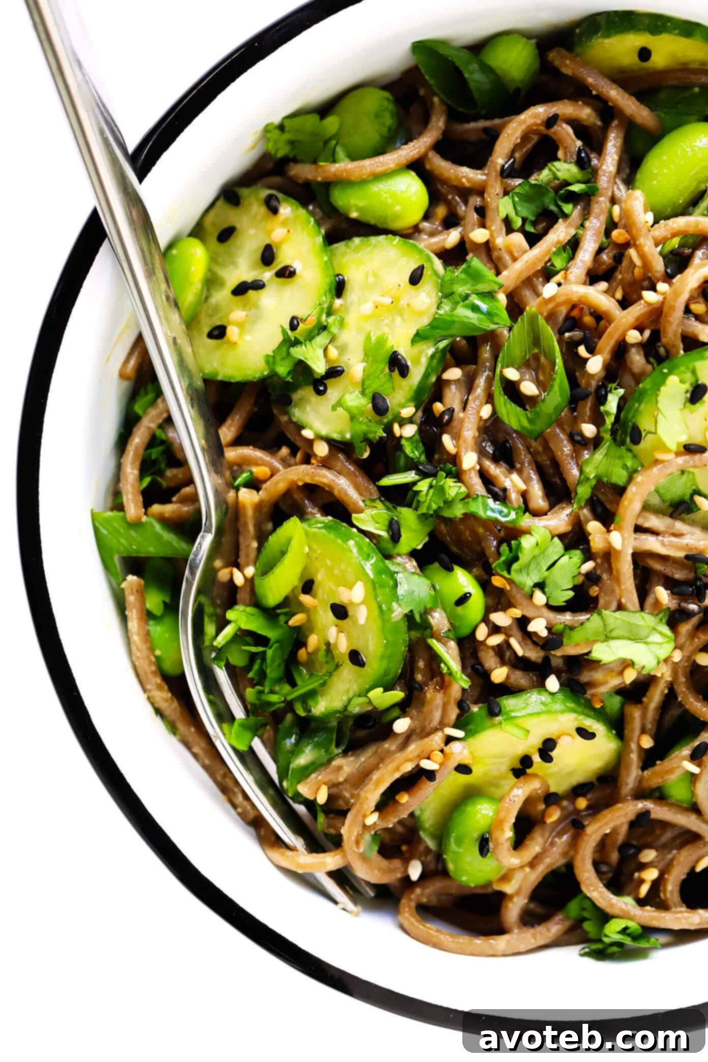 Peanut Soba Noodles Closeup