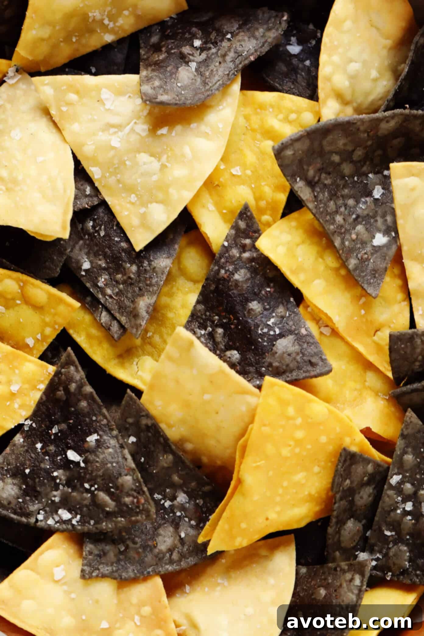 Tri-Color Corn Tortilla Chips