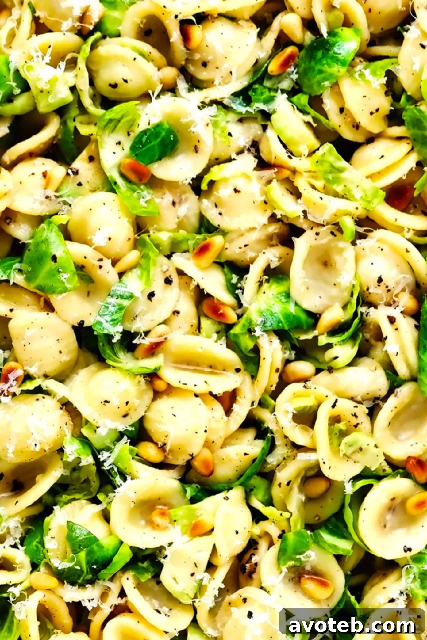 Close-up of Brussels Sprouts Parmesan Pasta with pine nuts, ready to eat