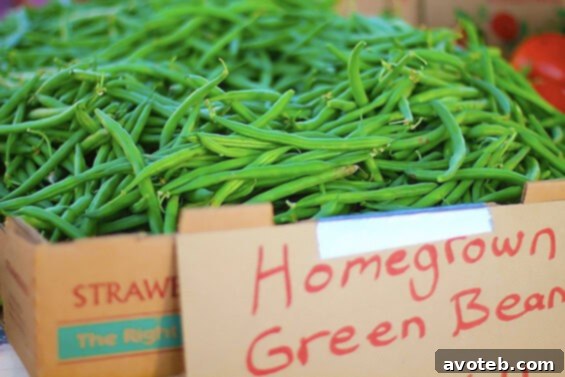 Crisp green beans, perfect for a healthy meal Freshly picked green beans, a vibrant and healthy vegetable