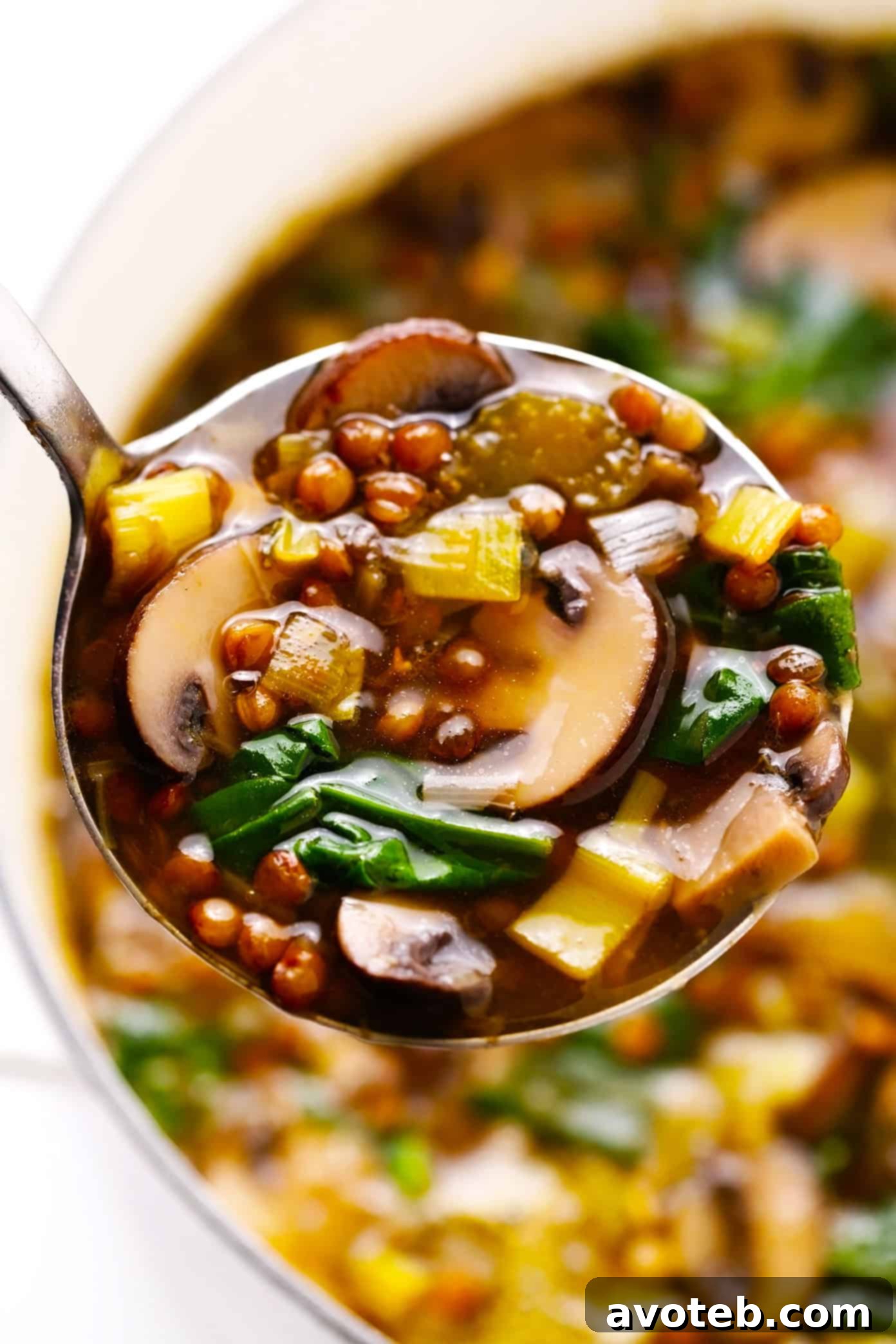 French Lentil Soup with Mushrooms and Spinach in a Ladle, showcasing its rich texture and vibrant ingredients