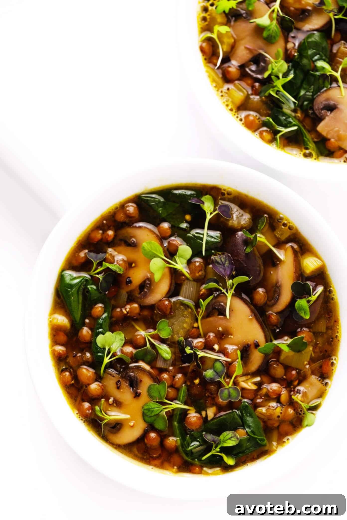 French Lentil and Mushroom Soup Recipe served in rustic bowls, ready to be enjoyed as a healthy and comforting meal