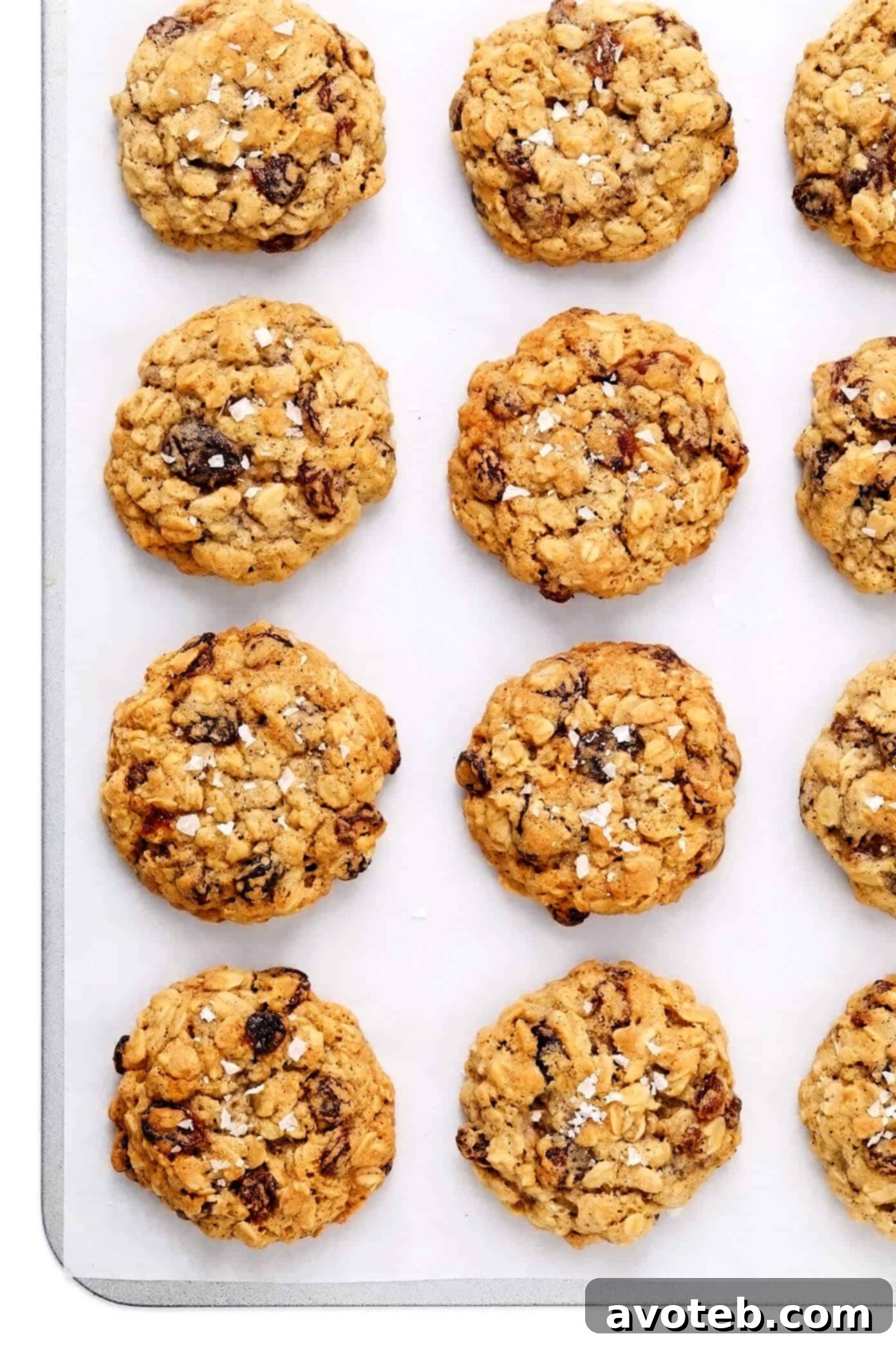 Chewy Oat Delights 2 Delicious Oatmeal Cookies on a Sheet Pan, Ready to Enjoy