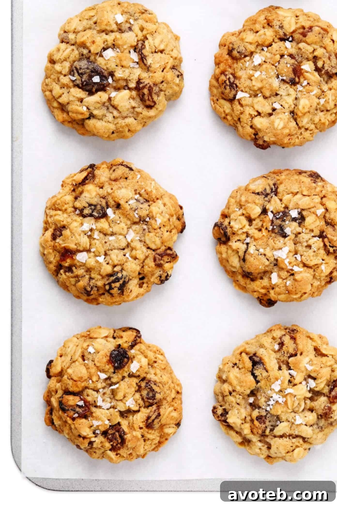 Chewy Oat Delights 4 Close-up of Baked Oatmeal Raisin Cookies with a Sprinkle of Flaky Sea Salt