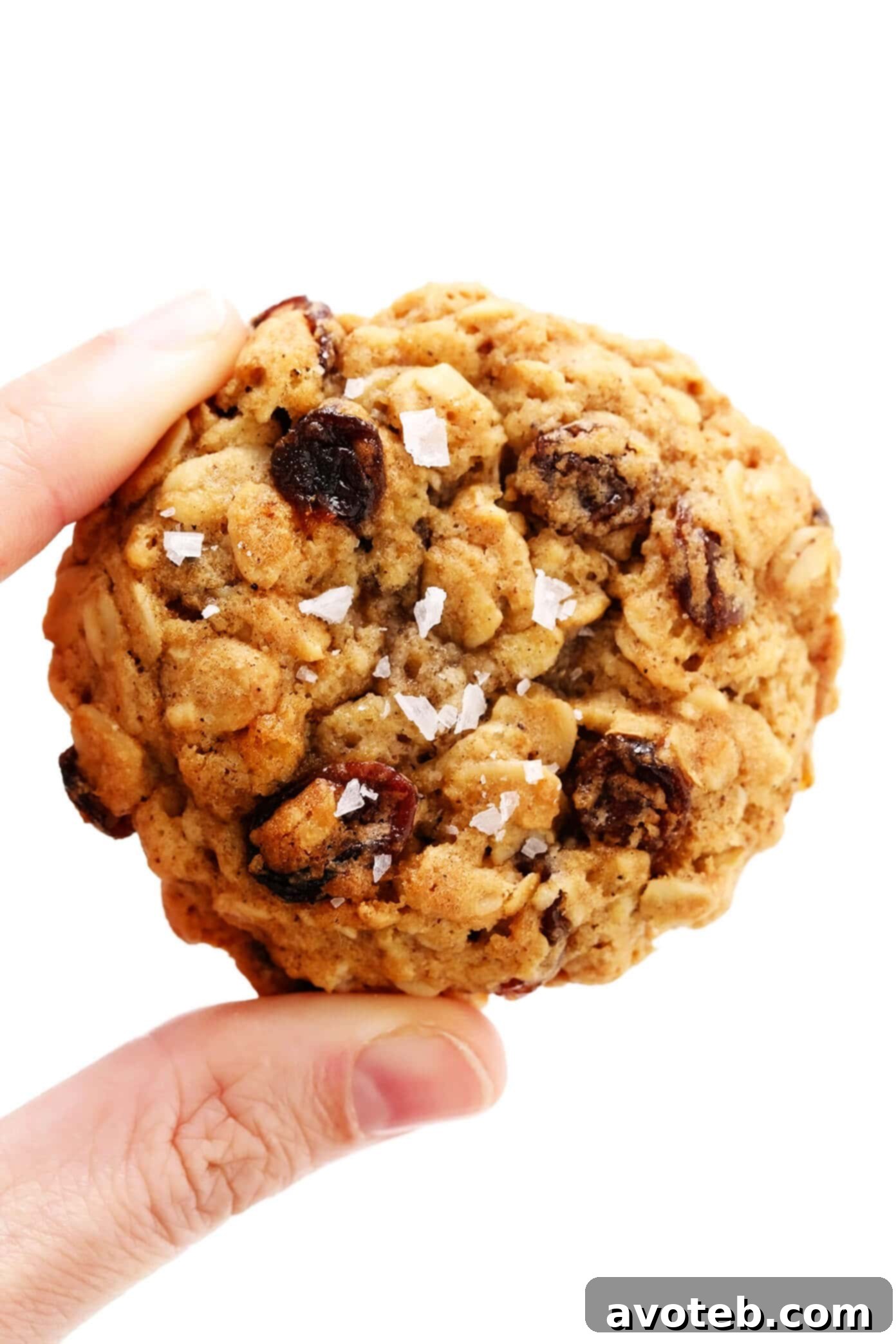 Chewy Oat Delights 6 Close-up Detail of a Soft and Chewy Oatmeal Raisin Cookie