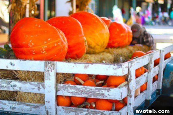 A festive display of pumpkins, ready for the autumn season and fall celebrations at The City Market.