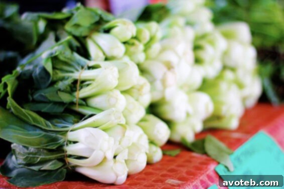 A bountiful display of fresh bok choy, clean and vibrant, showcasing the diversity of greens available at the market.