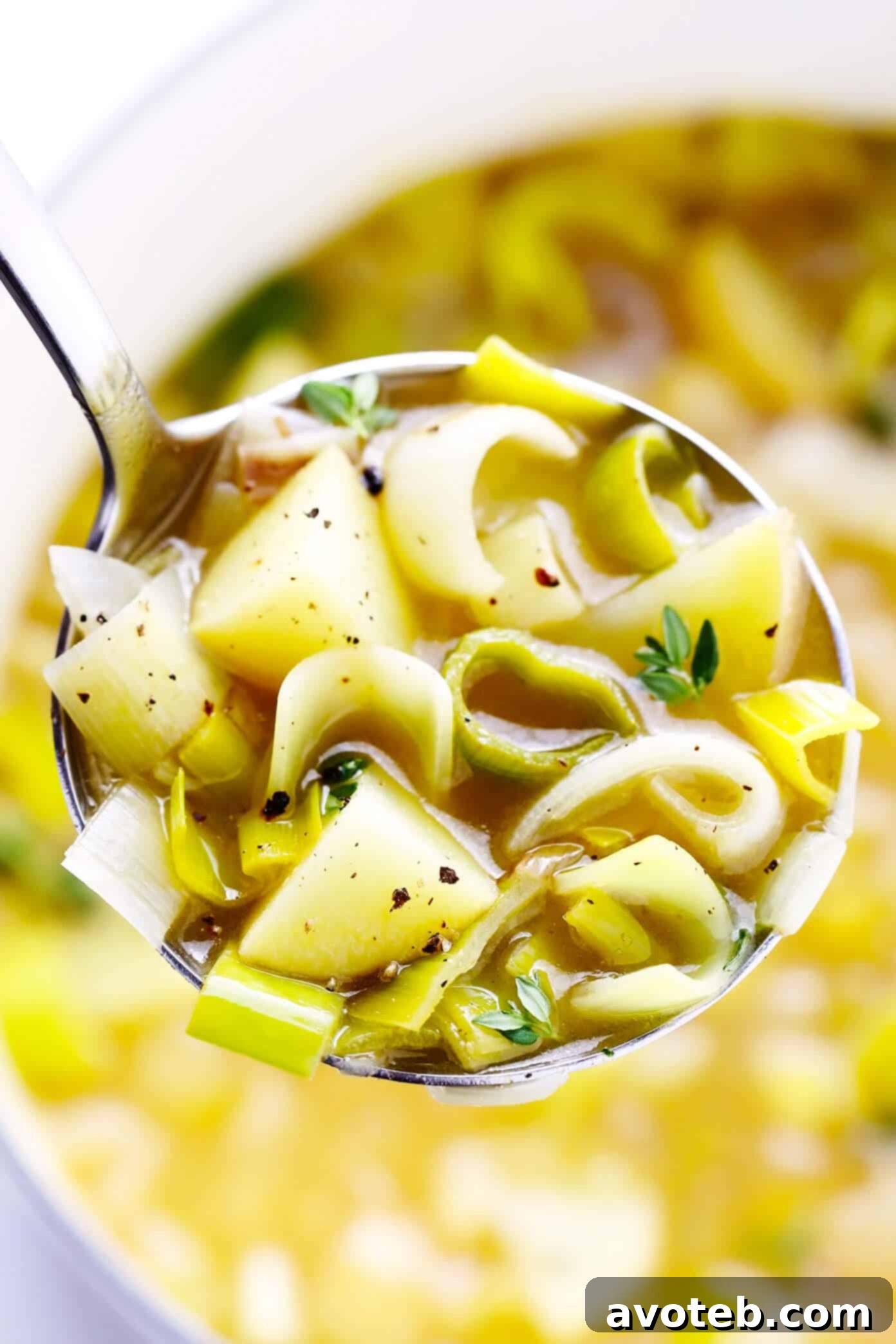 Ladle Full of Leek and Potato Soup