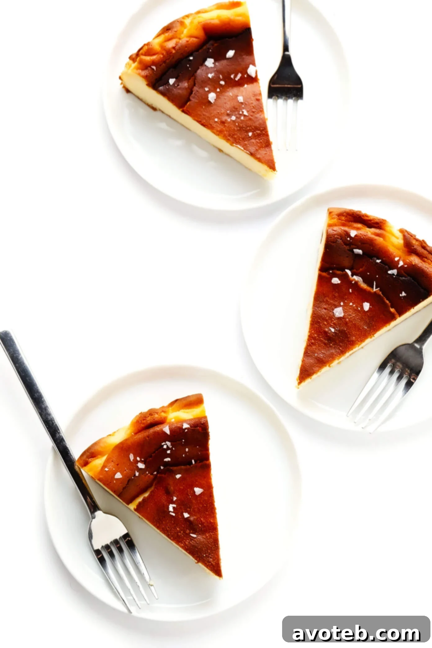 A slice of 'Burnt' Basque Cheesecake elegantly garnished with a sprinkle of flaky sea salt, enhancing its rich flavor.