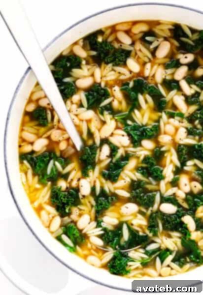 Spicy Kale, White Bean and Orzo Soup