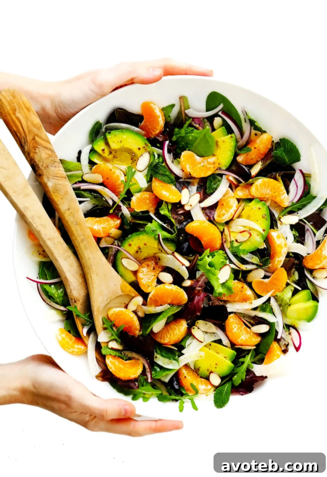 Orange, Fennel and Avocado Salad with fresh ingredients