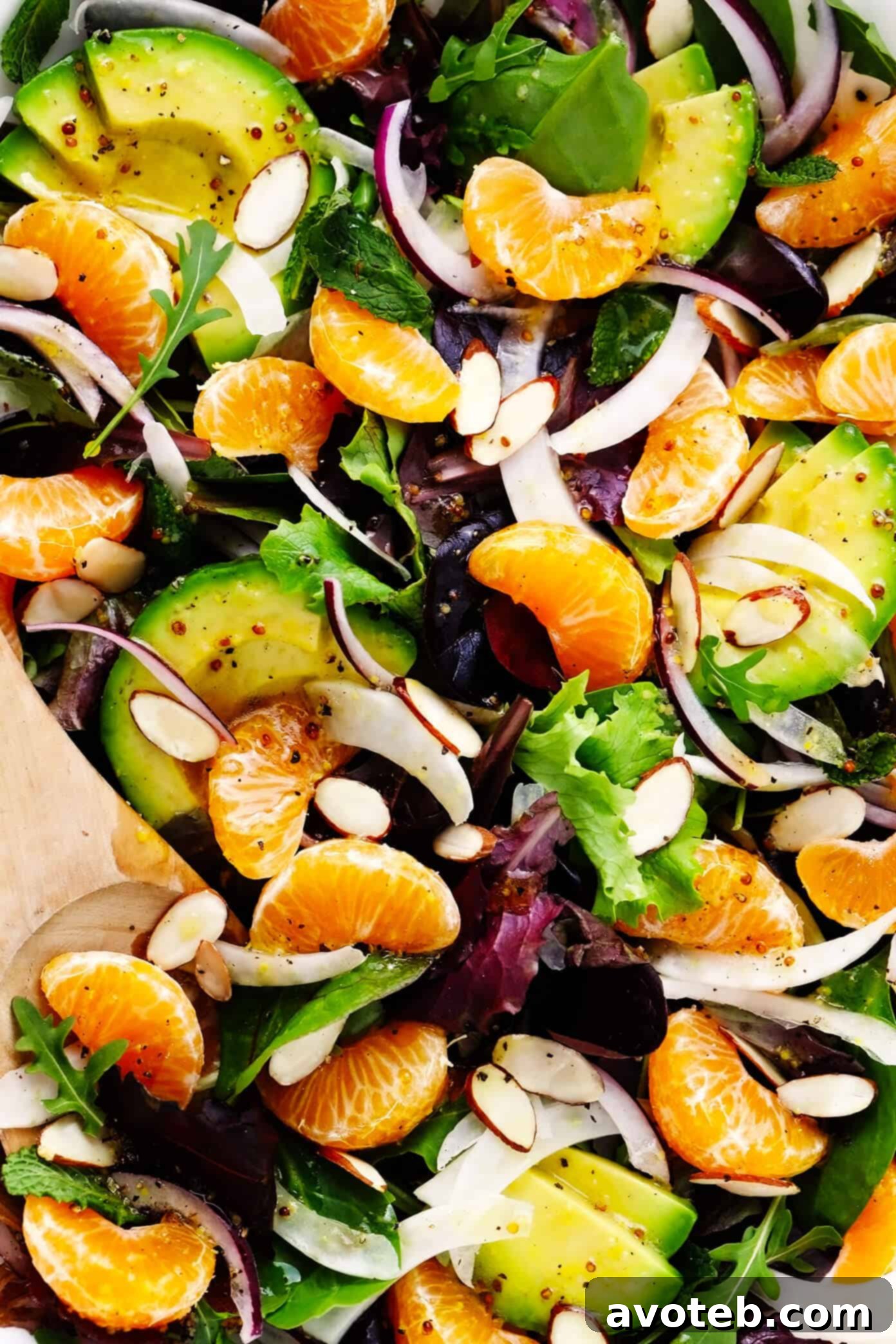 Close-up of Clementine orange salad with fennel, avocado, and mint