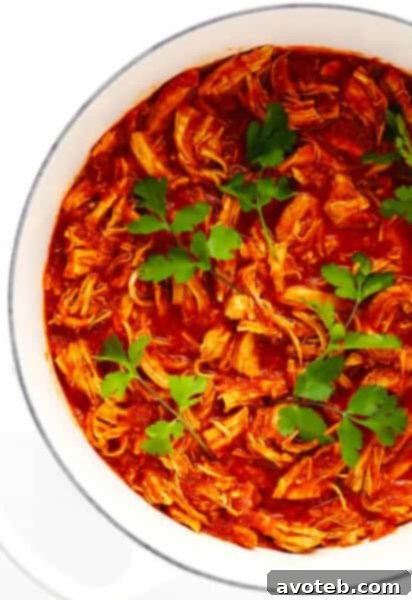 A beautifully presented bowl of Chicken Tinga