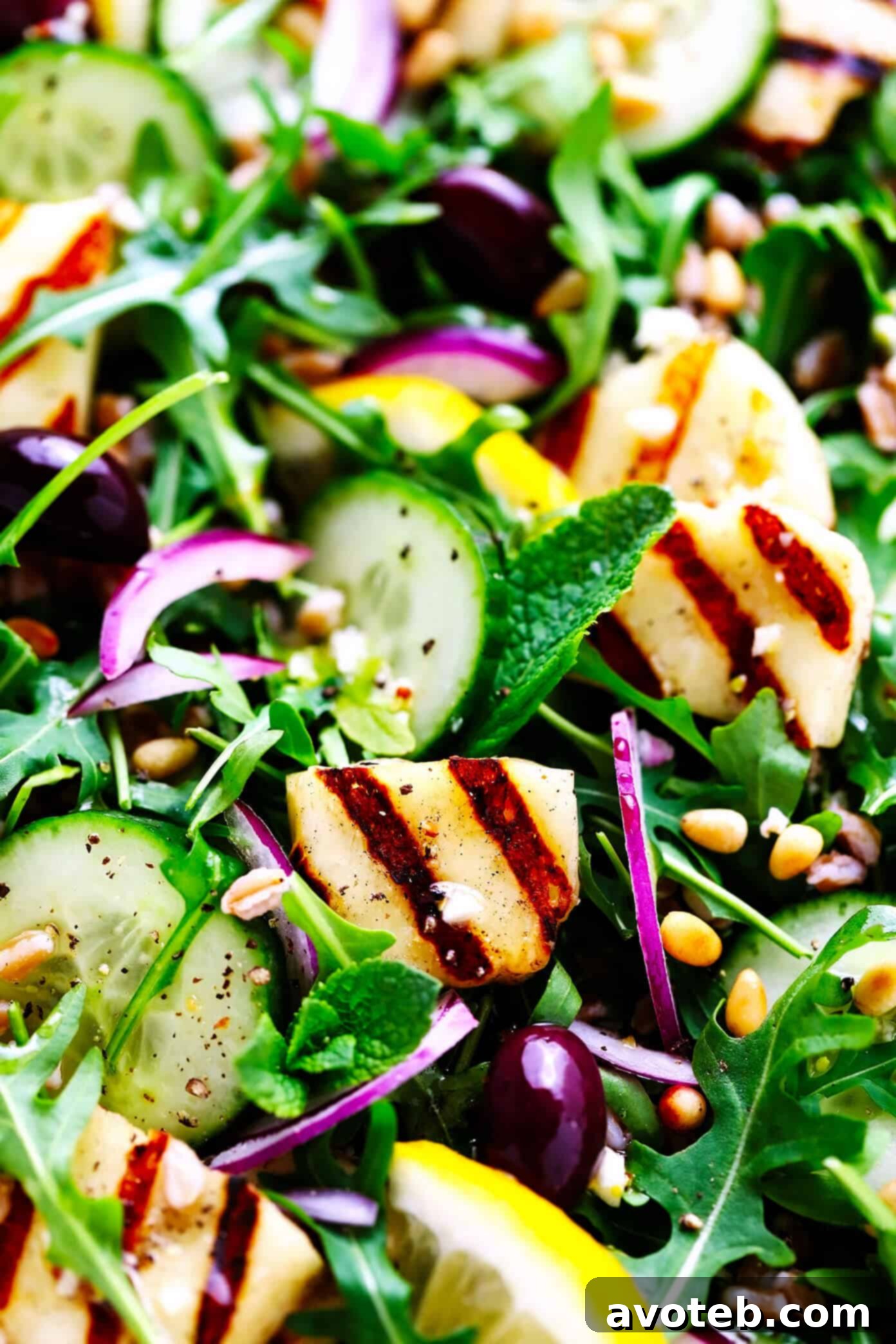 Grilled Halloumi Salad Closeup with Cucumber, Farro and Pine Nuts