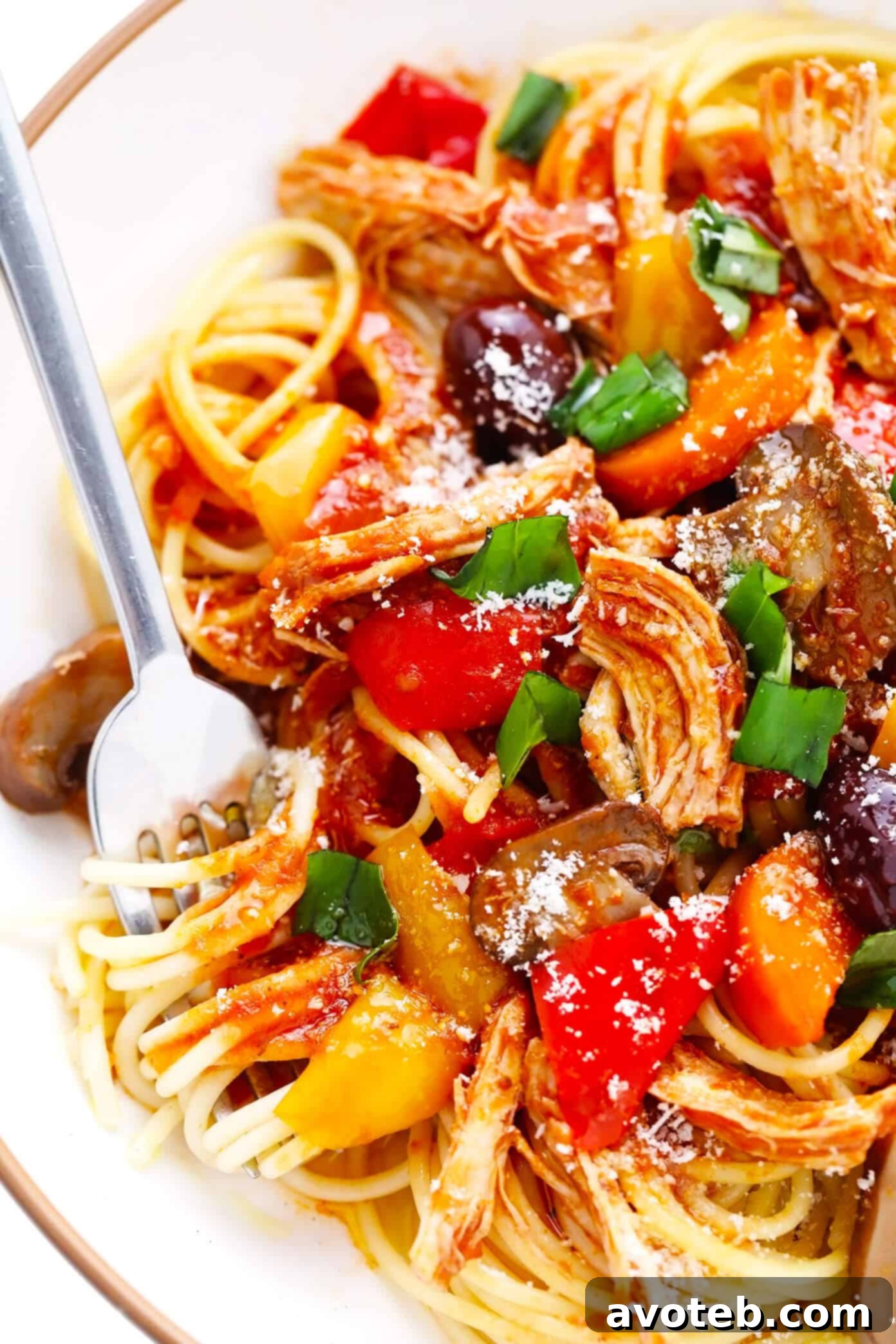 Bowl of Chicken Cacciatore with Spaghetti