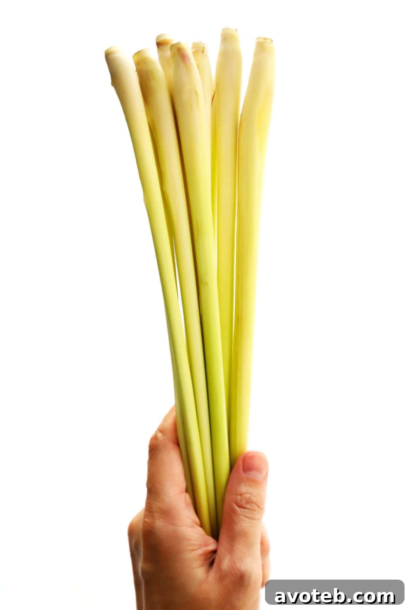 Essential ingredient for a flavorful Thai stir-fry: fresh lemongrass stalks. This key aromatic adds a bright, citrusy, and slightly minty note to the creamy ginger coconut sauce, elevating the taste of the noodle stir-fry with tender shrimp, mushrooms, and carrots. Fresh Lemongrass Stalks on a Wooden Board