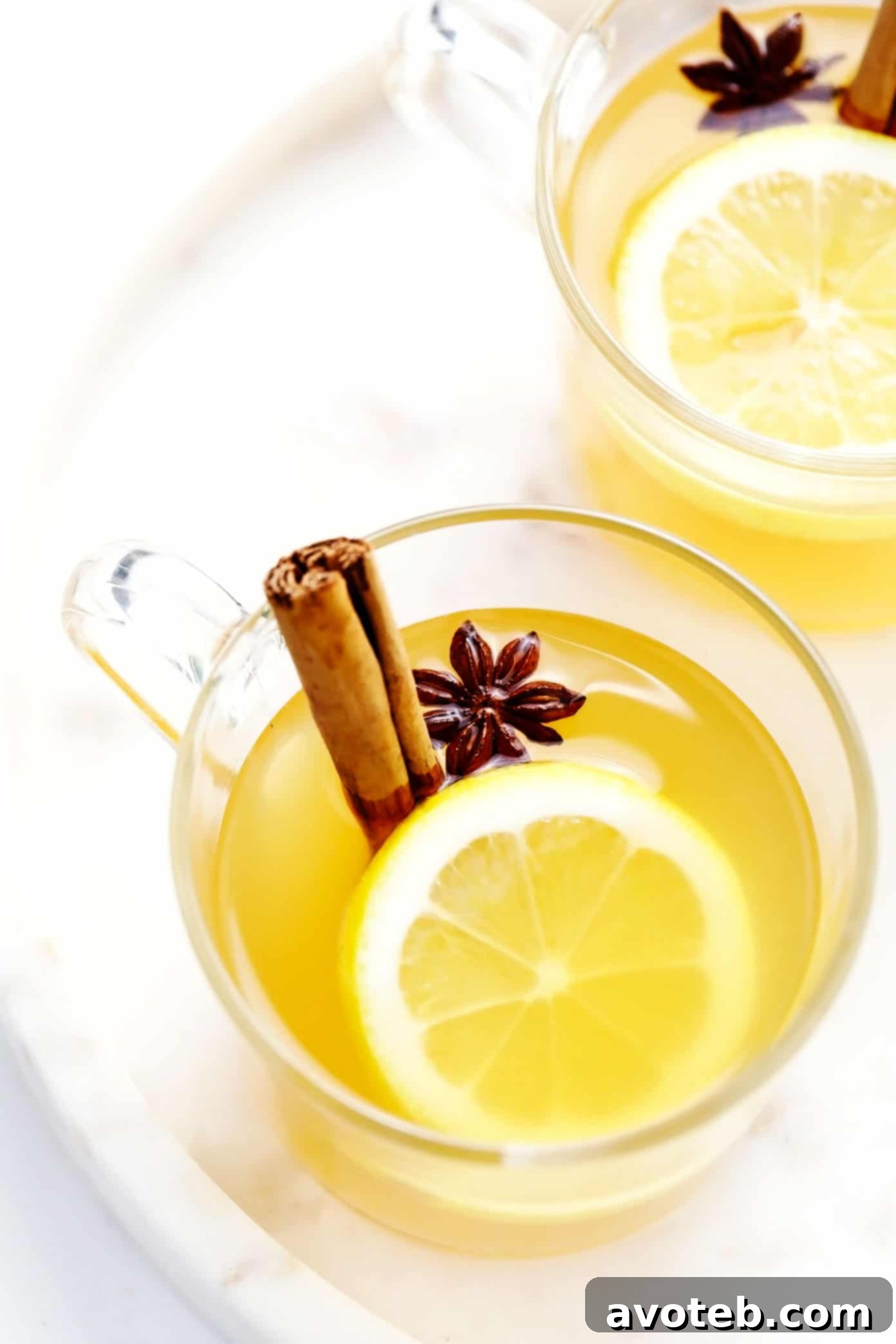 Hot Toddy garnished with cinnamon stick, lemon slice, and star anise.