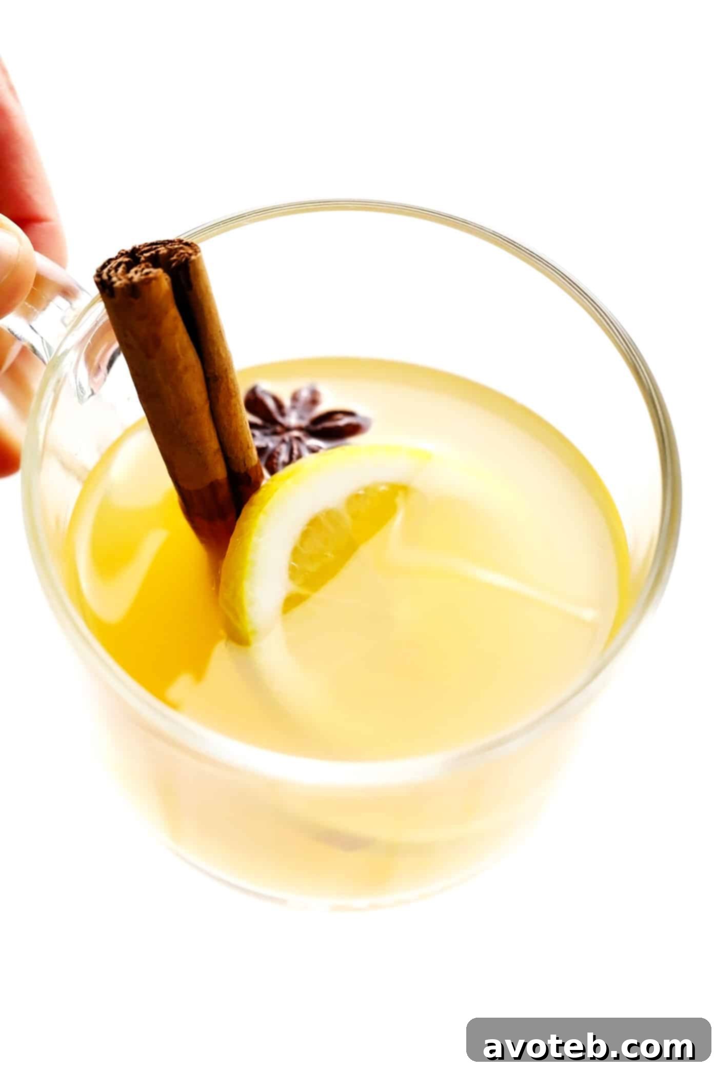 A Hot Toddy mug with cinnamon stick, ginger slice, and star anise garnishes.