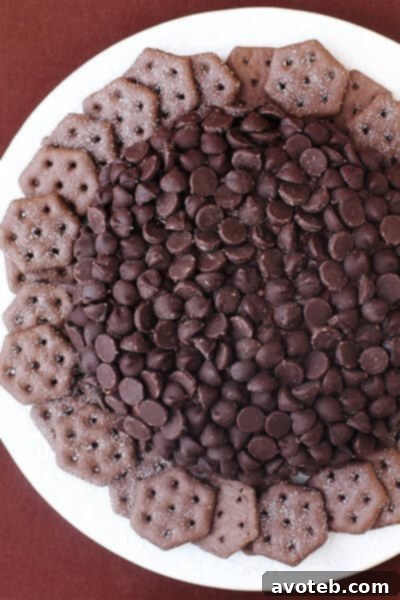 Nutella Cheeseball garnished with chocolate chips