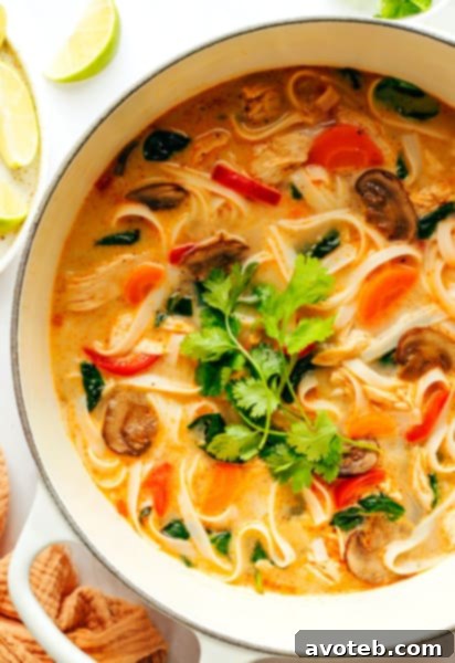 Delicious Thai Chicken Noodle Soup in a bowl.