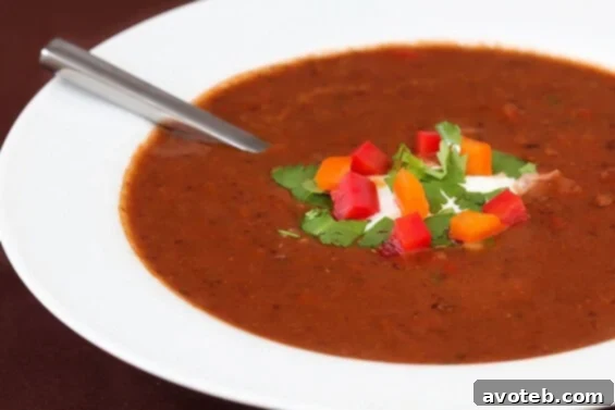 Spicy Black Bean Soup thumbnail image